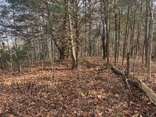1080 Palmer Road Mount Eden, KY 40046 - Photo 19 of 34 20