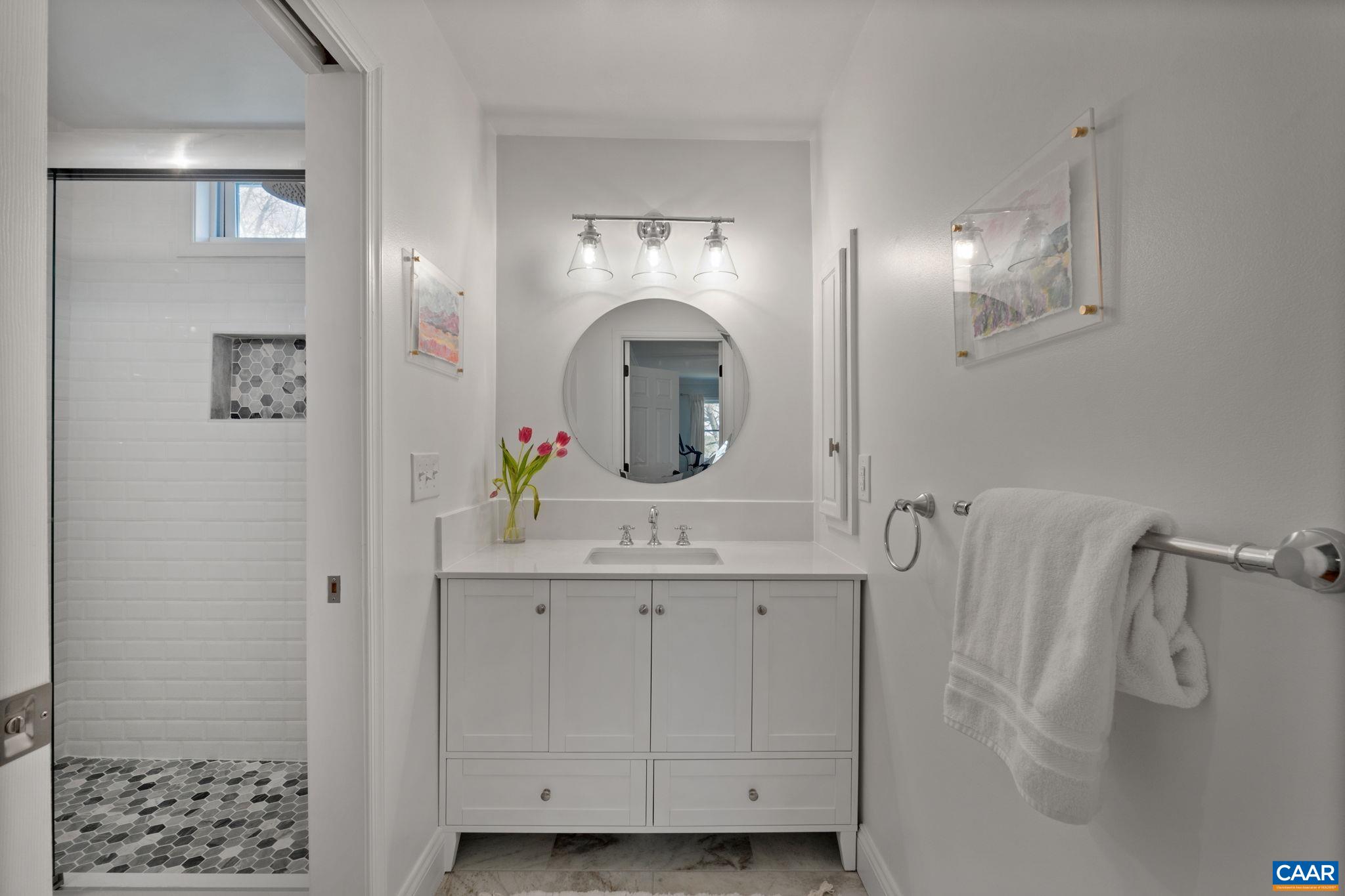 2603 Holkham Drive Charlottesville, VA 22901 - Photo 36 of 60 a bathroom with a sink a toilet and shower