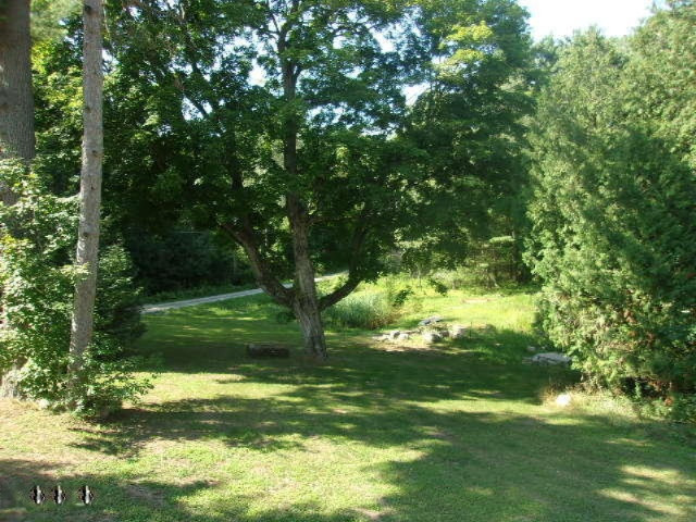 3441 West Madison Road Hart, MI 49420 - Photo 22 of 26 035