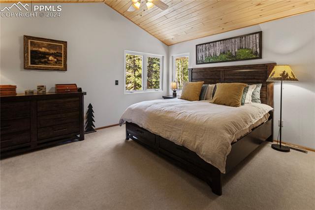 420 Homestead Road Divide, CO 80814 - Photo 15 of 34 Master Bedroom