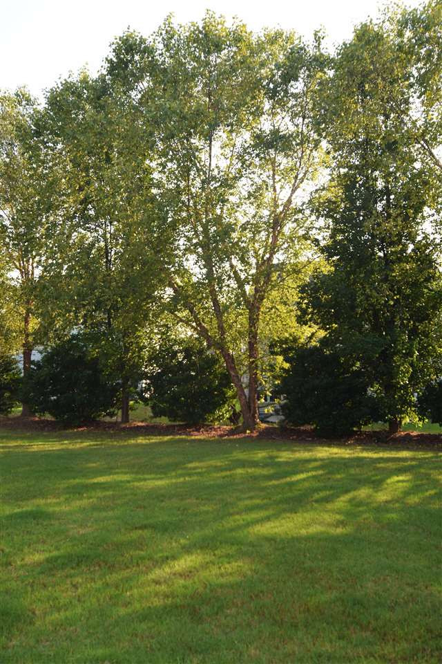 2113 Metacomet Way Raleigh, NC 27604 - Photo 15 of 21 Photo 15