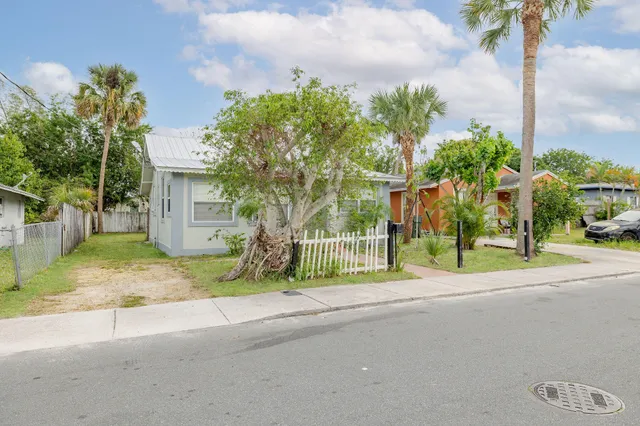 a view of a house with a tree and plants