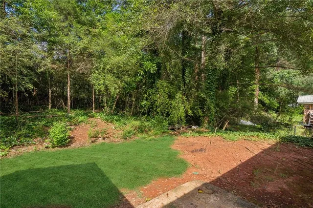 a view of a backyard with pathway