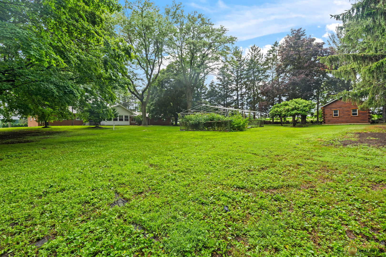 8019 South Malta Road DeKalb, IL 60115 - Photo 43 of 51 a view of a trees in a yard