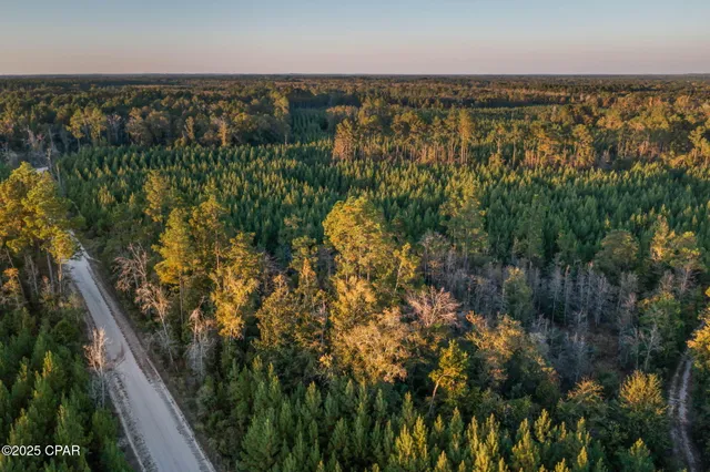 $124,999 | Xxx Xxx Open Creek Road, Unit SOUTH LOT, Bonifay, FL 32425
