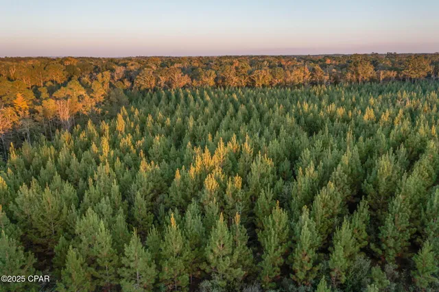 $124,999 | Xxx Xxx Open Creek Road, Unit SOUTH LOT, Bonifay, FL 32425