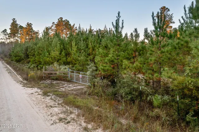 $124,999 | Xxx Xxx Open Creek Road, Unit SOUTH LOT, Bonifay, FL 32425