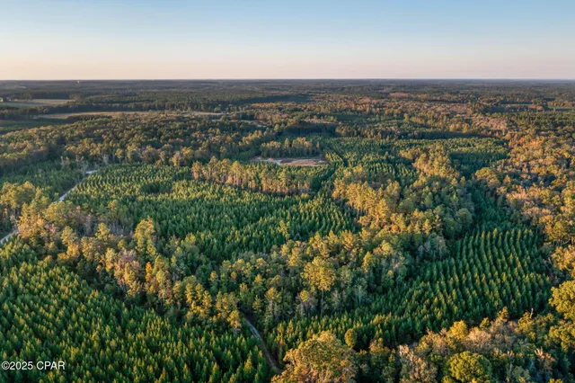 $124,999 | Xxx Xxx Open Creek Road, Unit SOUTH LOT, Bonifay, FL 32425