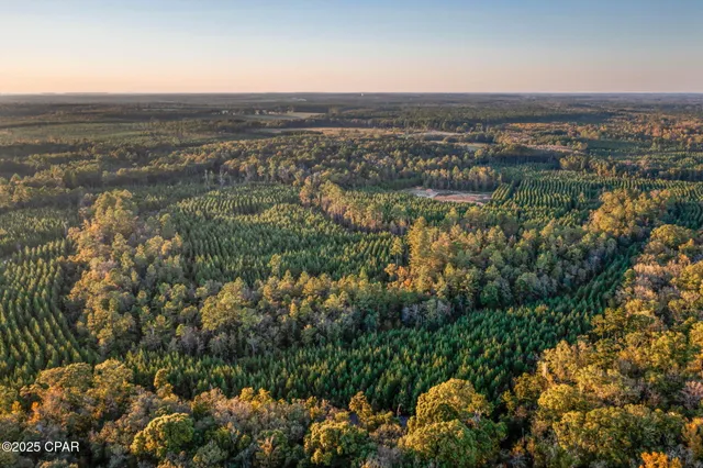 $124,999 | Xxx Xxx Open Creek Road, Unit SOUTH LOT, Bonifay, FL 32425