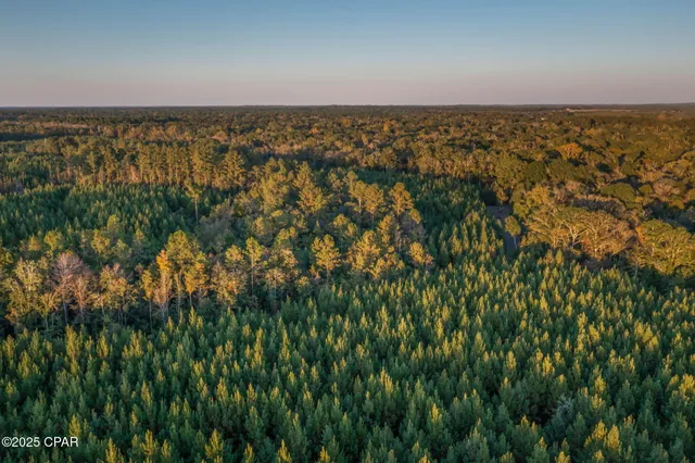 $124,999 | Xxx Xxx Open Creek Road, Unit SOUTH LOT, Bonifay, FL 32425
