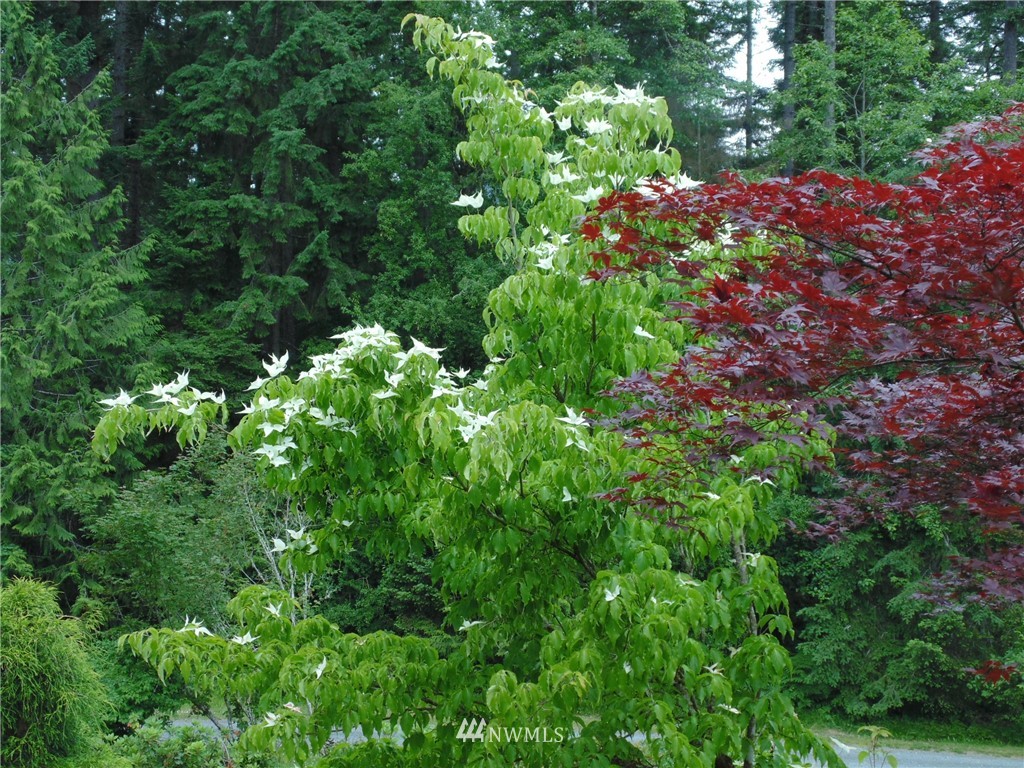 2395 Black Diamond Road Port Angeles, WA 98363 - Photo 10 of 25 Gallery Image 10