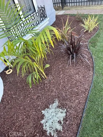 a view of a swimming pool with a garden