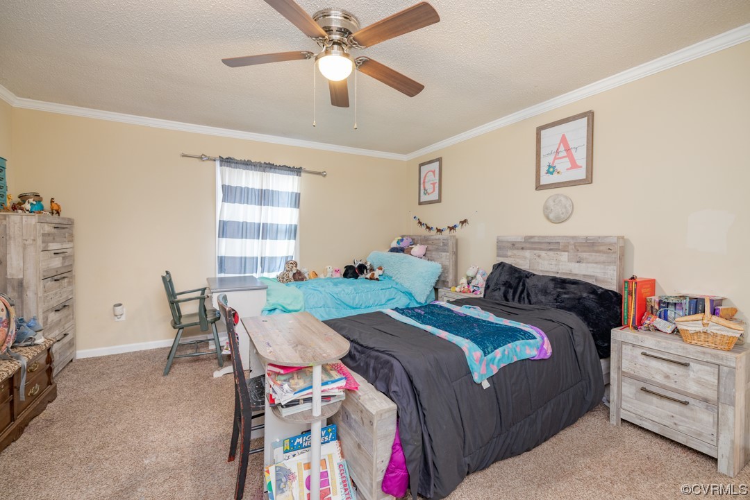 7432 Dry Bread Road Lawrenceville, VA 23868 - Photo 11 of 30 Gallery Image 11