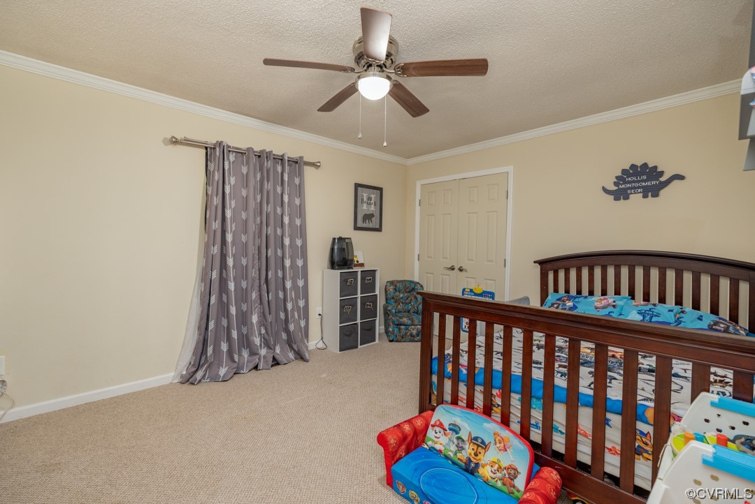 7432 Dry Bread Road Lawrenceville, VA 23868 - Photo 15 of 30 Gallery Image 15