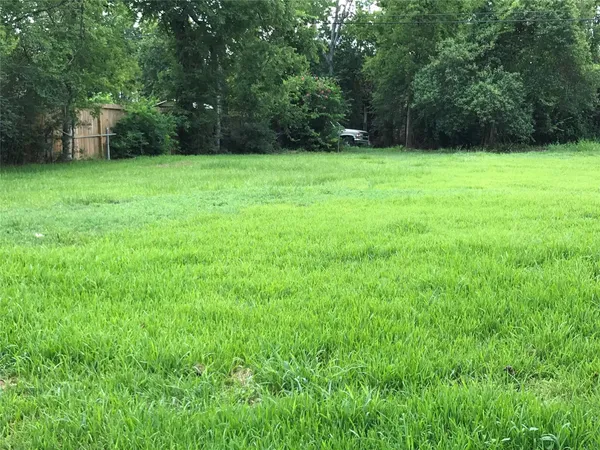 a view of a yard with a trees