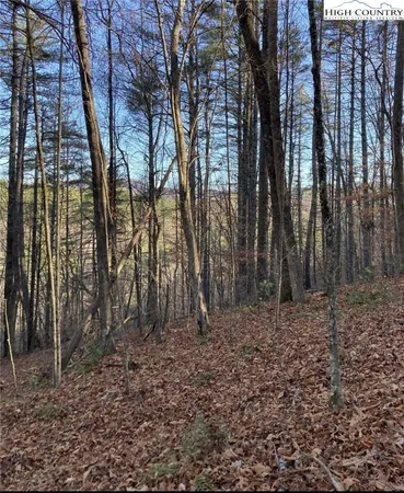 $339,900 | 1-2 Toe River Lane, Newland, NC 28657