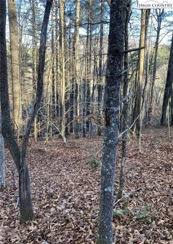 $339,900 | 1-2 Toe River Lane, Newland, NC 28657