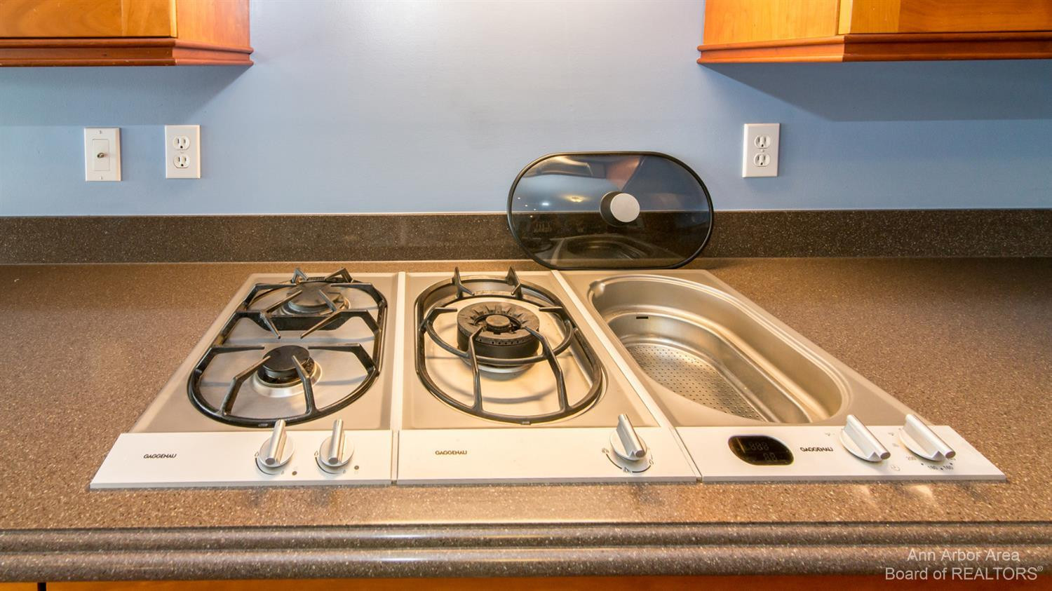 616 Island Lake Road Chelsea, MI 48118 - Photo 15 of 68 Photo 15