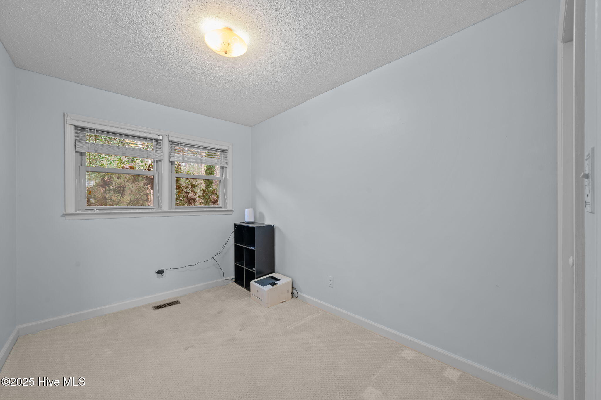 2671 Harts Mill Run Road Tarboro, NC 27886 - Photo 28 of 56 36-web-or-mls-LHV_7003