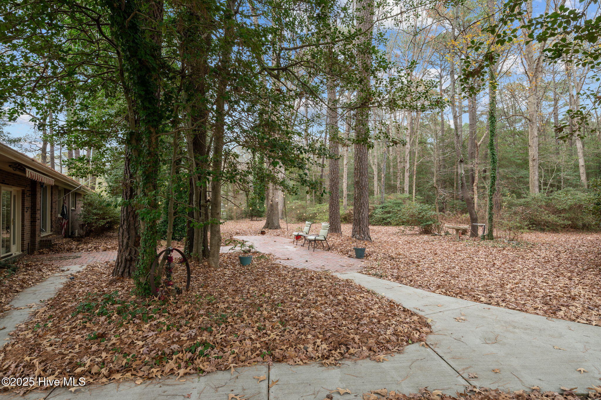 2671 Harts Mill Run Road Tarboro, NC 27886 - Photo 46 of 56 51-web-or-mls-LHV_7038