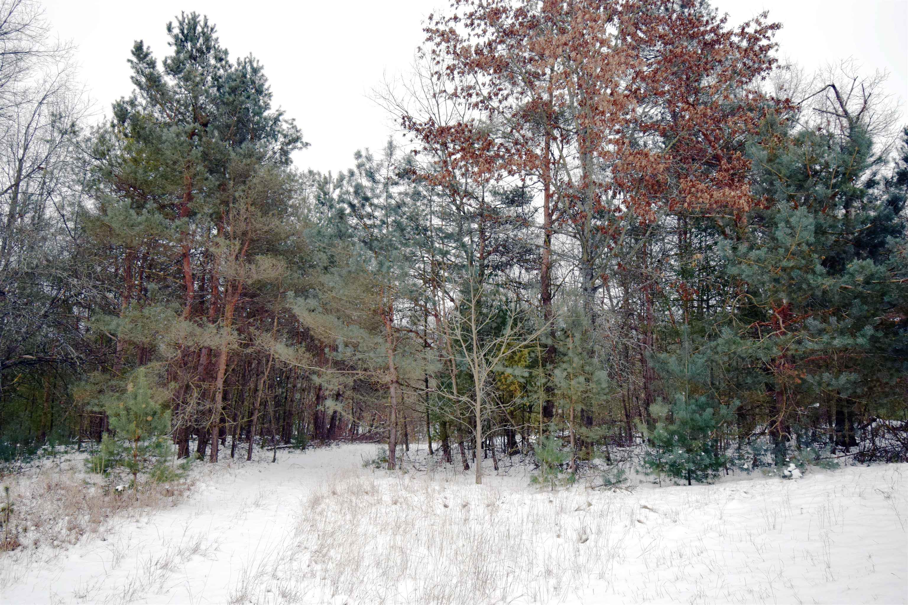 46 East Clarence Road Harrison, MI 48625 - Photo 13 of 47 1930346-79fbf2c4-516b-46a9-93f7-5bb1caafb85f.JPG