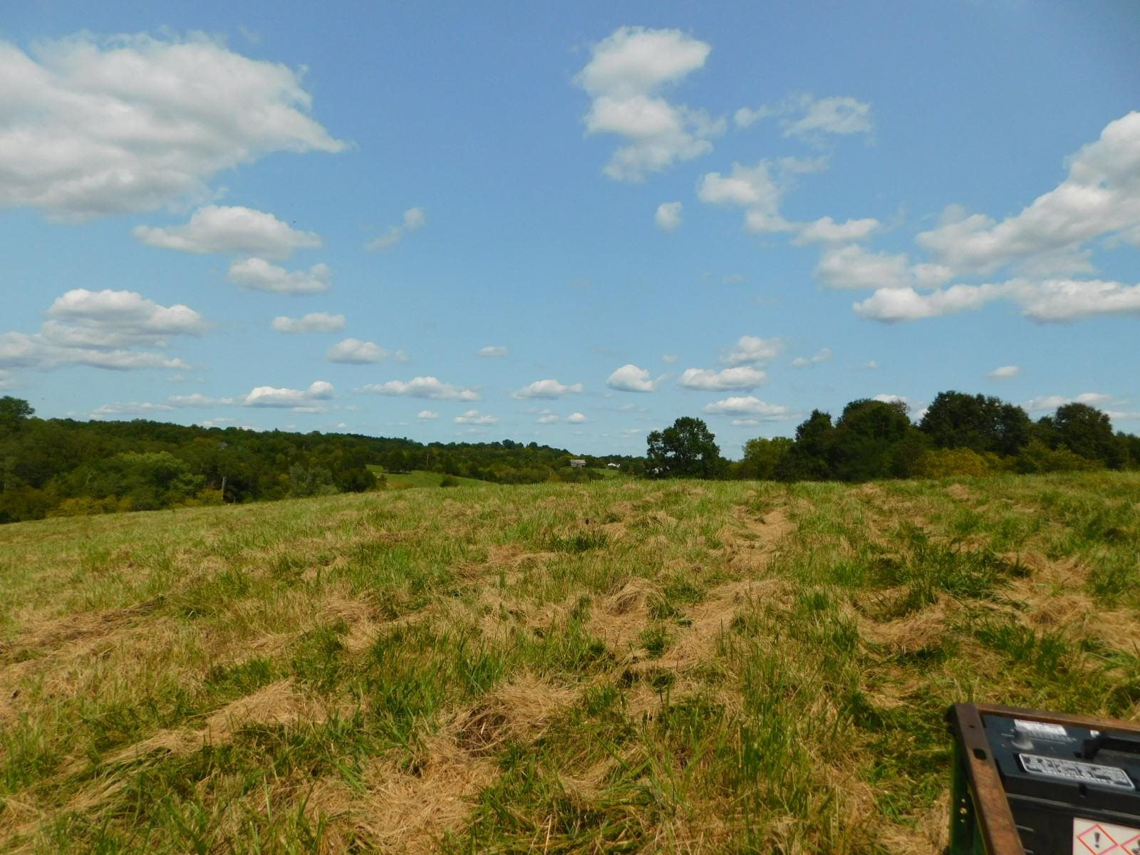 0 Scaffold Lick Creek Road Berry, KY 41003 - Photo 21 of 22 Gallery Image 21