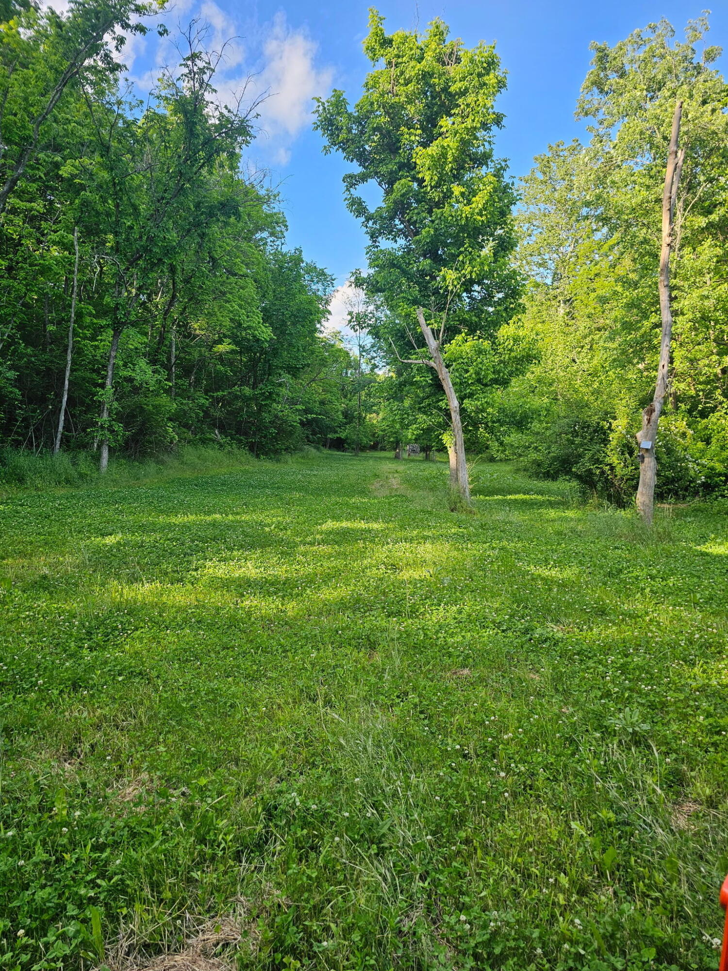 1 A Saltwell Road Carlisle, KY 40311 - Photo 1 of 26 3478590718888174035