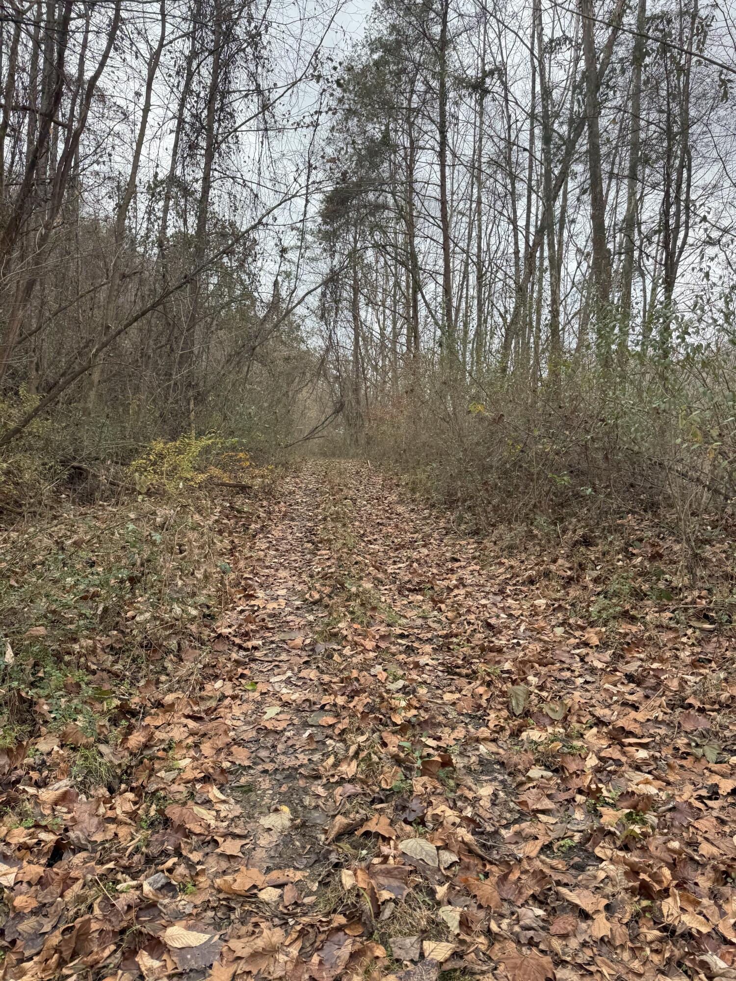 9999 Little Wildcat Creek Road Manchester, KY 40962 - Photo 5 of 18 LWCC