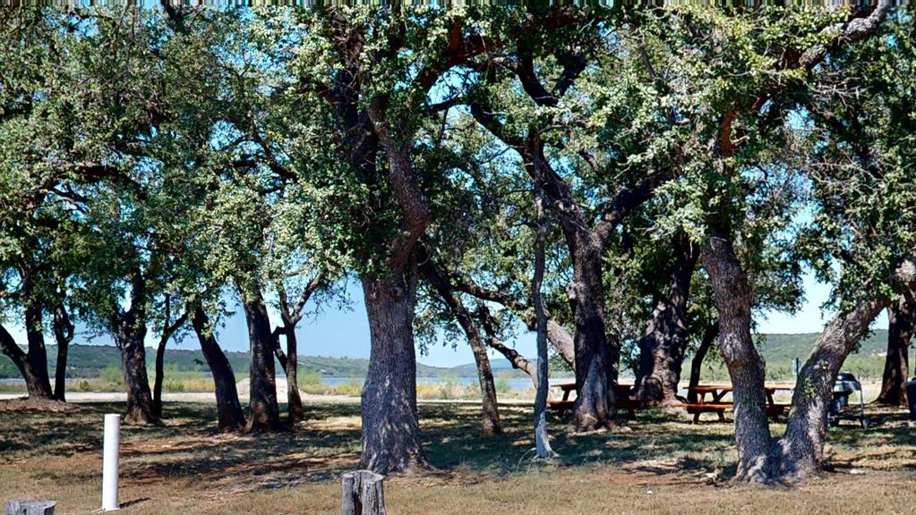 1759 Canyon Wren Loop Graford, TX 76449 - Photo 19 of 21