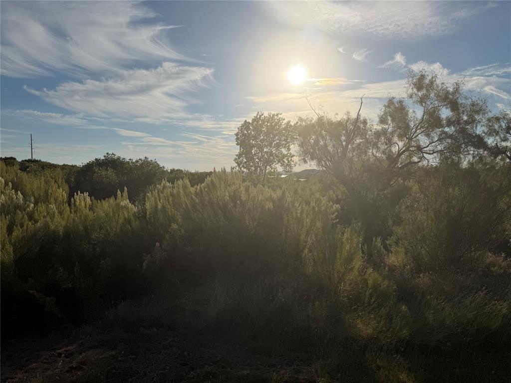 1759 Canyon Wren Loop Graford, TX 76449 - Photo 4 of 21