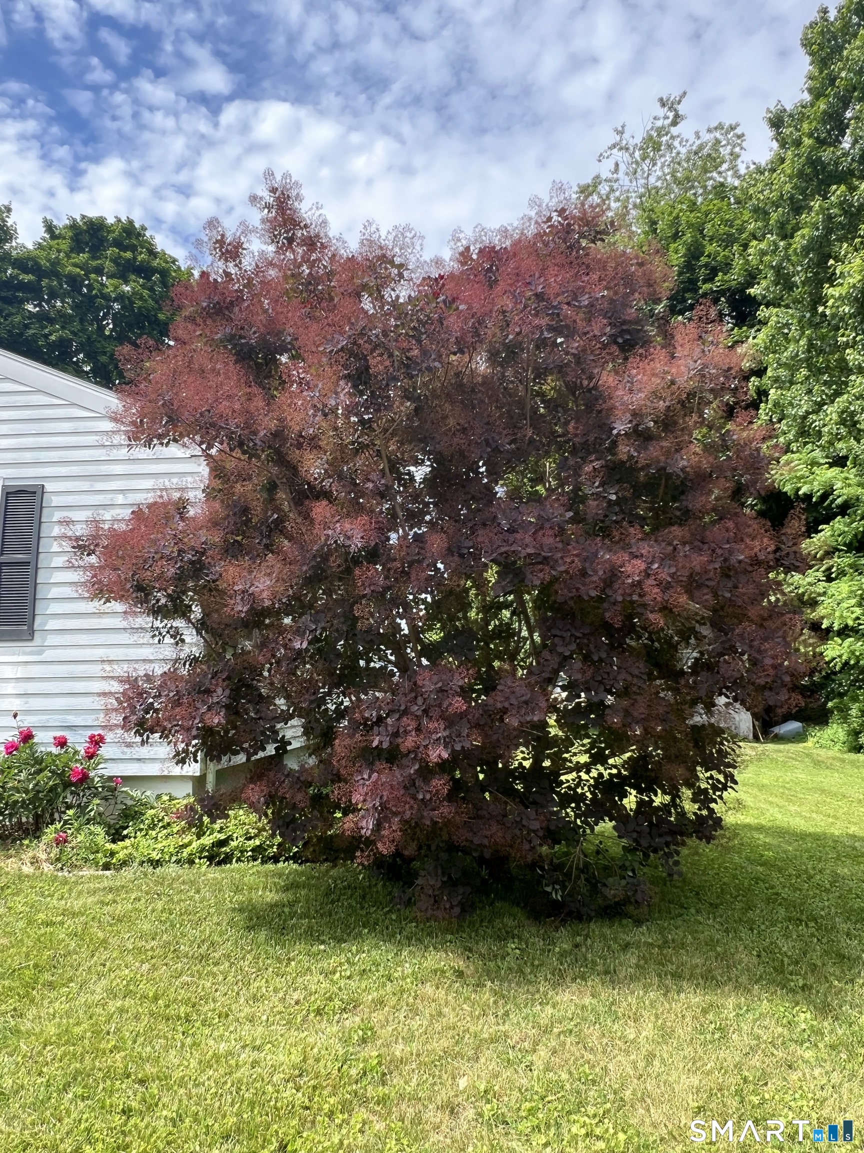 10 Barone Road East Lyme, CT 06357 - Photo 5 of 26