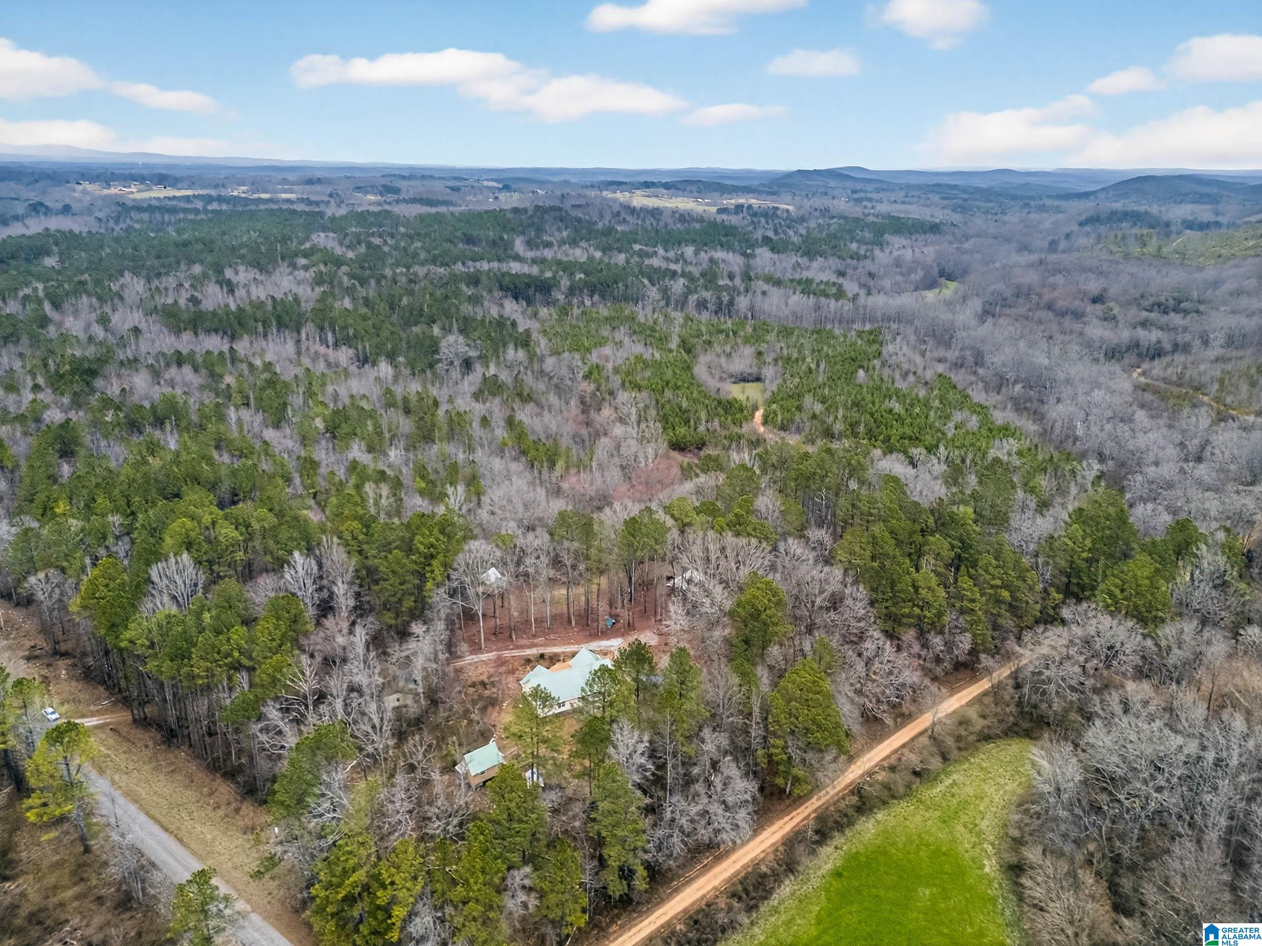 1285 White Oak Road Ashland, AL 36251 - Photo 67 of 71