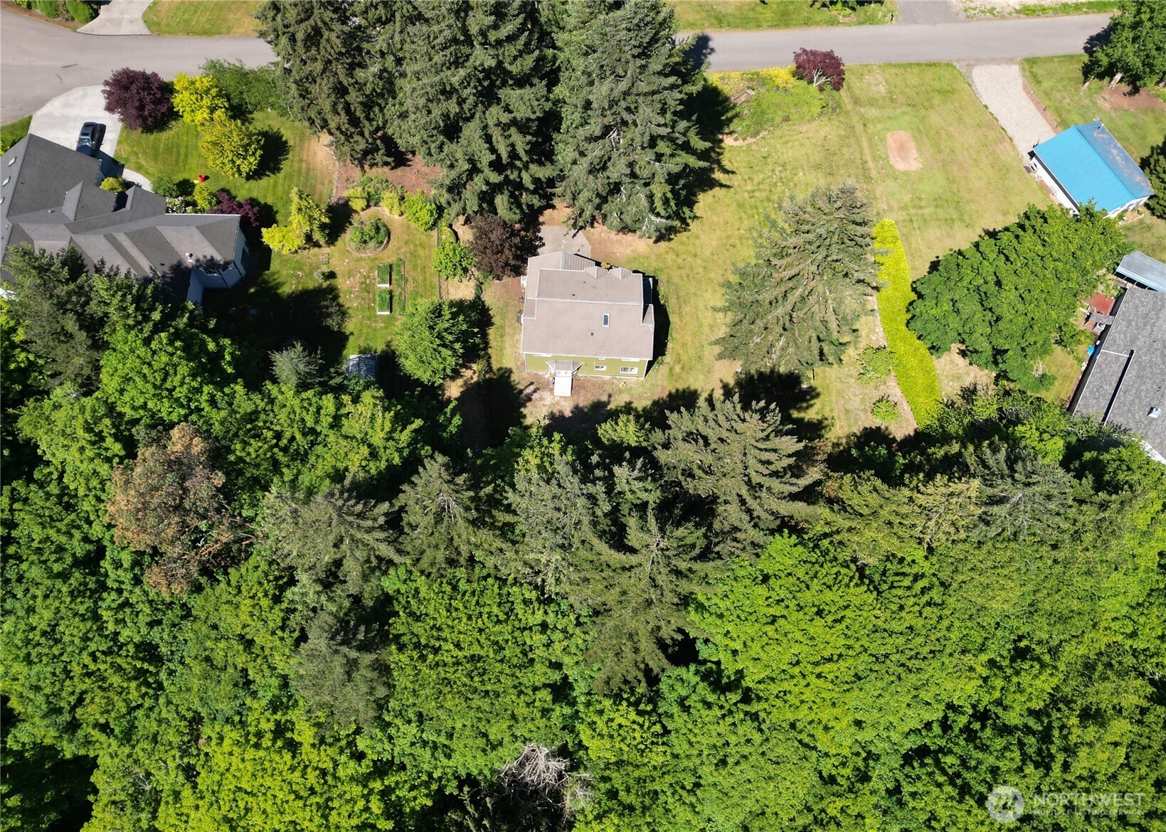 301 Mt Pleasant Estates Road Port Angeles, WA 98362 - Photo 34 of 40 a plant that is in a garden