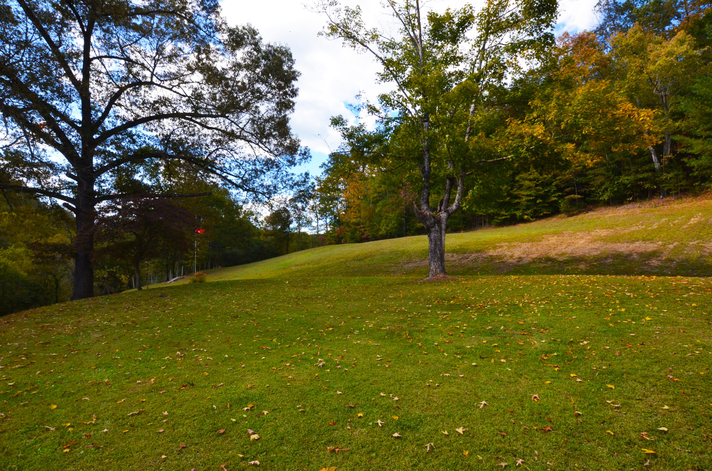 346 Goose Creek Road Jackson, KY 41339 - Photo 39 of 40 Side yard!