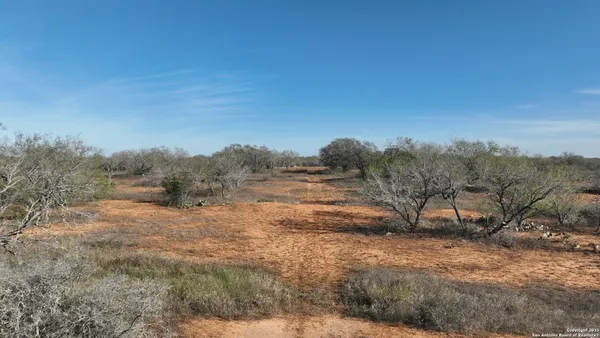 a view of dirt field with trees in background