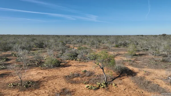 a view of a dry field with trees