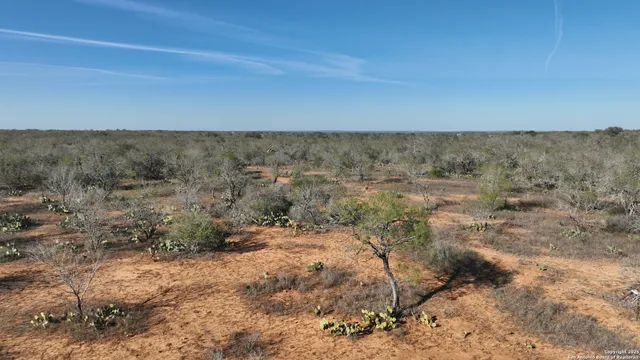 a view of a dry field with trees
