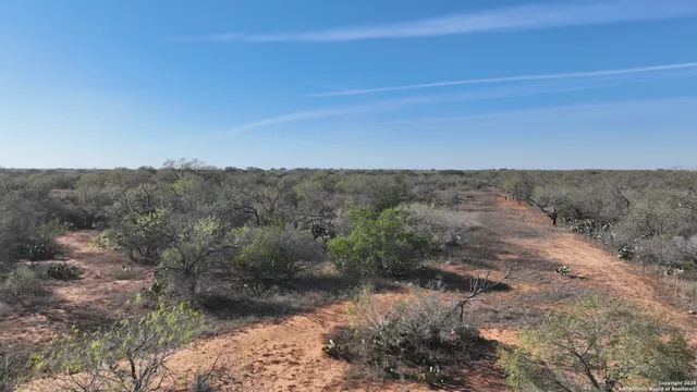 a view of a dry yard with wooden floor and fence