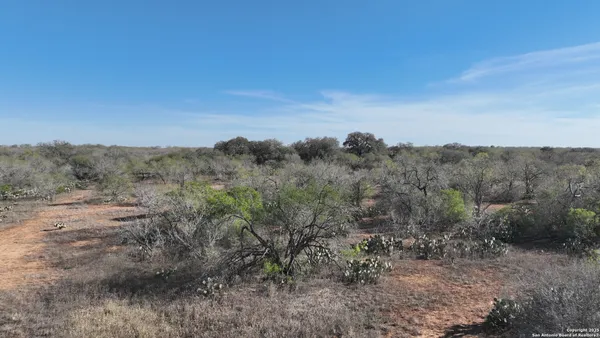 a view of a dry yard with trees