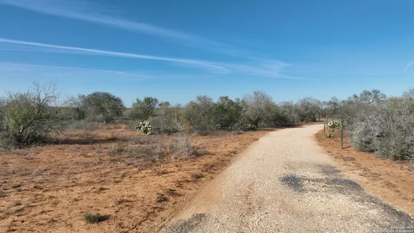 a view of a dry yard with trees
