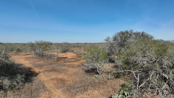 a view of a dry yard with trees
