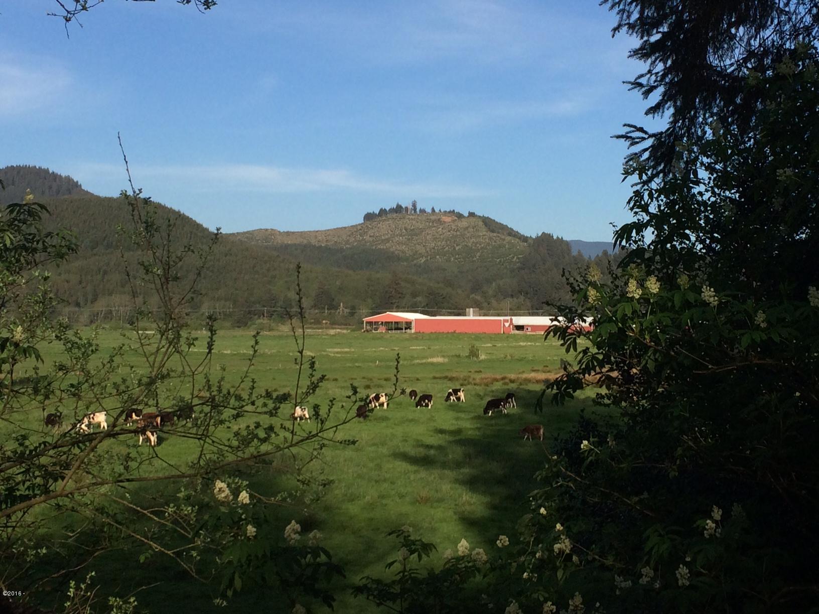 200 Hill Road Pacific City, OR 97135 - Photo 2 of 4 View from Lot