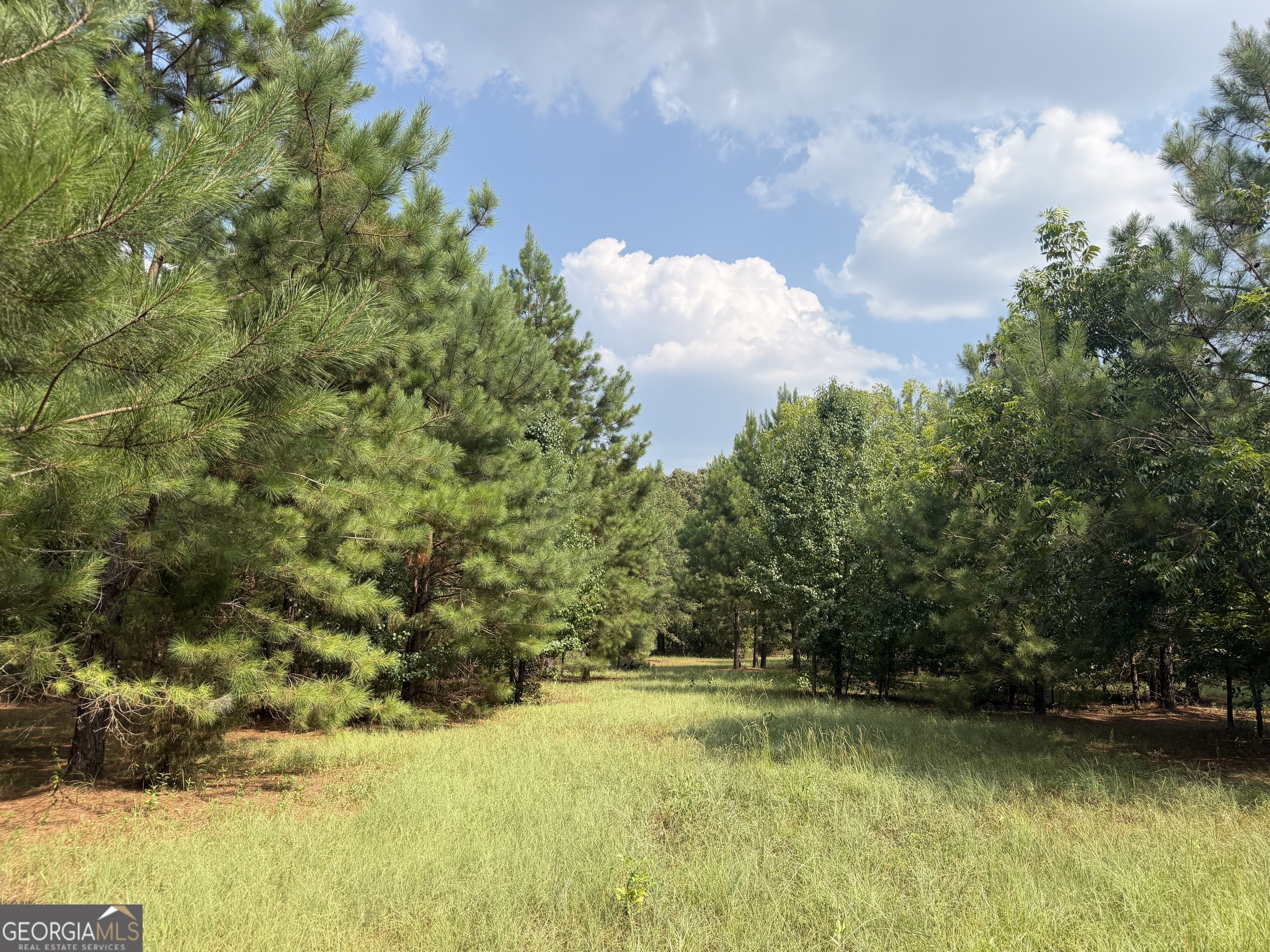 14 South Carter Fish Pond Road Plains, GA 31780 - Photo 1 of 10 Gallery Image 1
