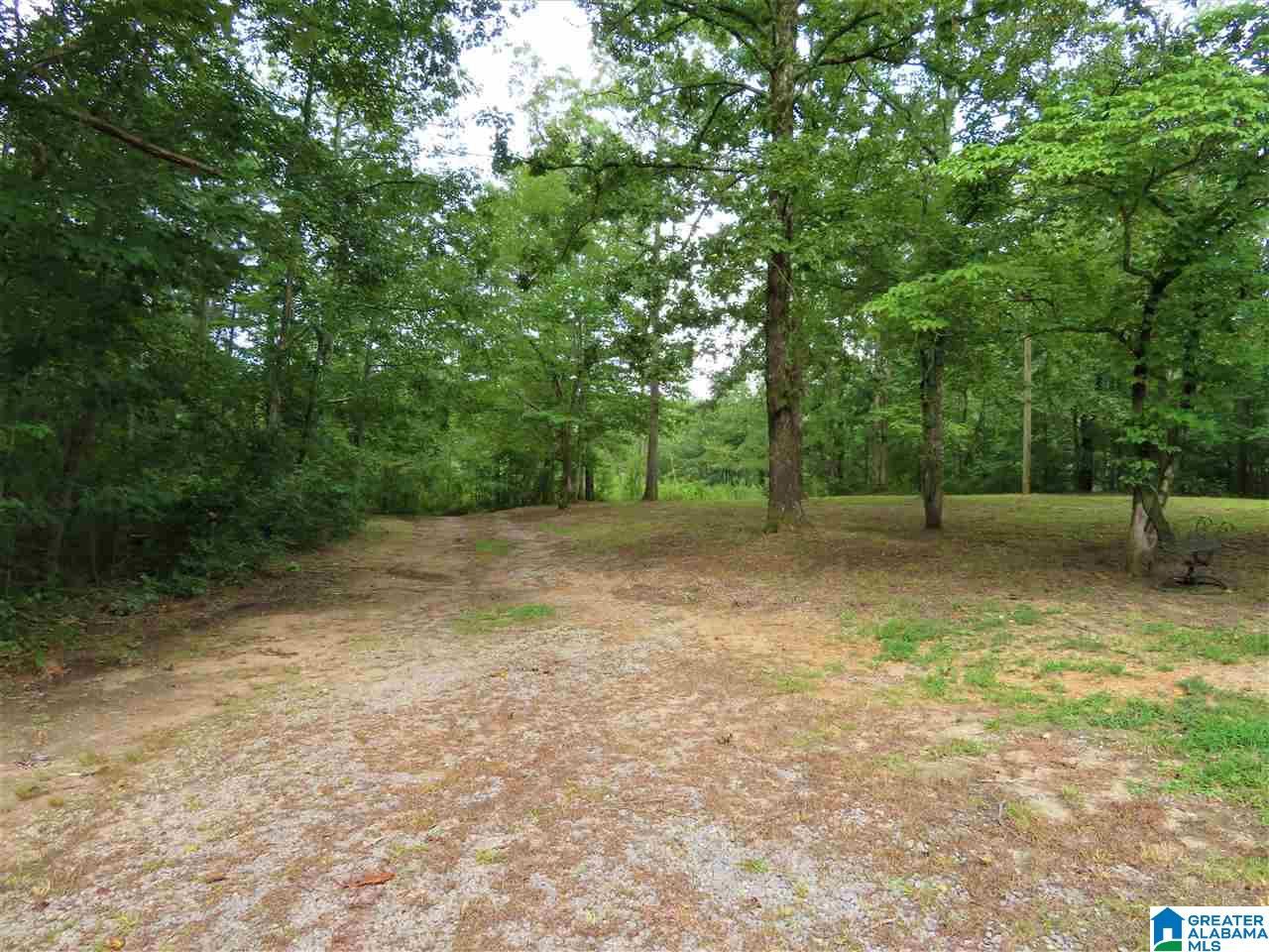 343 Randall Road Gallant, AL 35972 - Photo 4 of 42