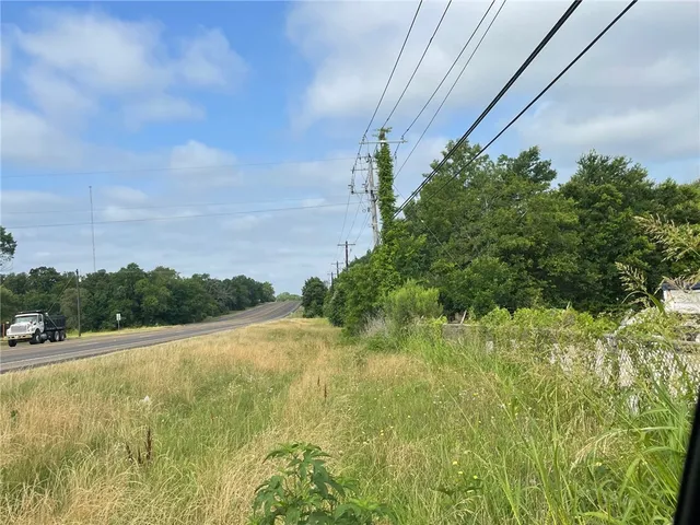 a view of a yard with an trees and plants