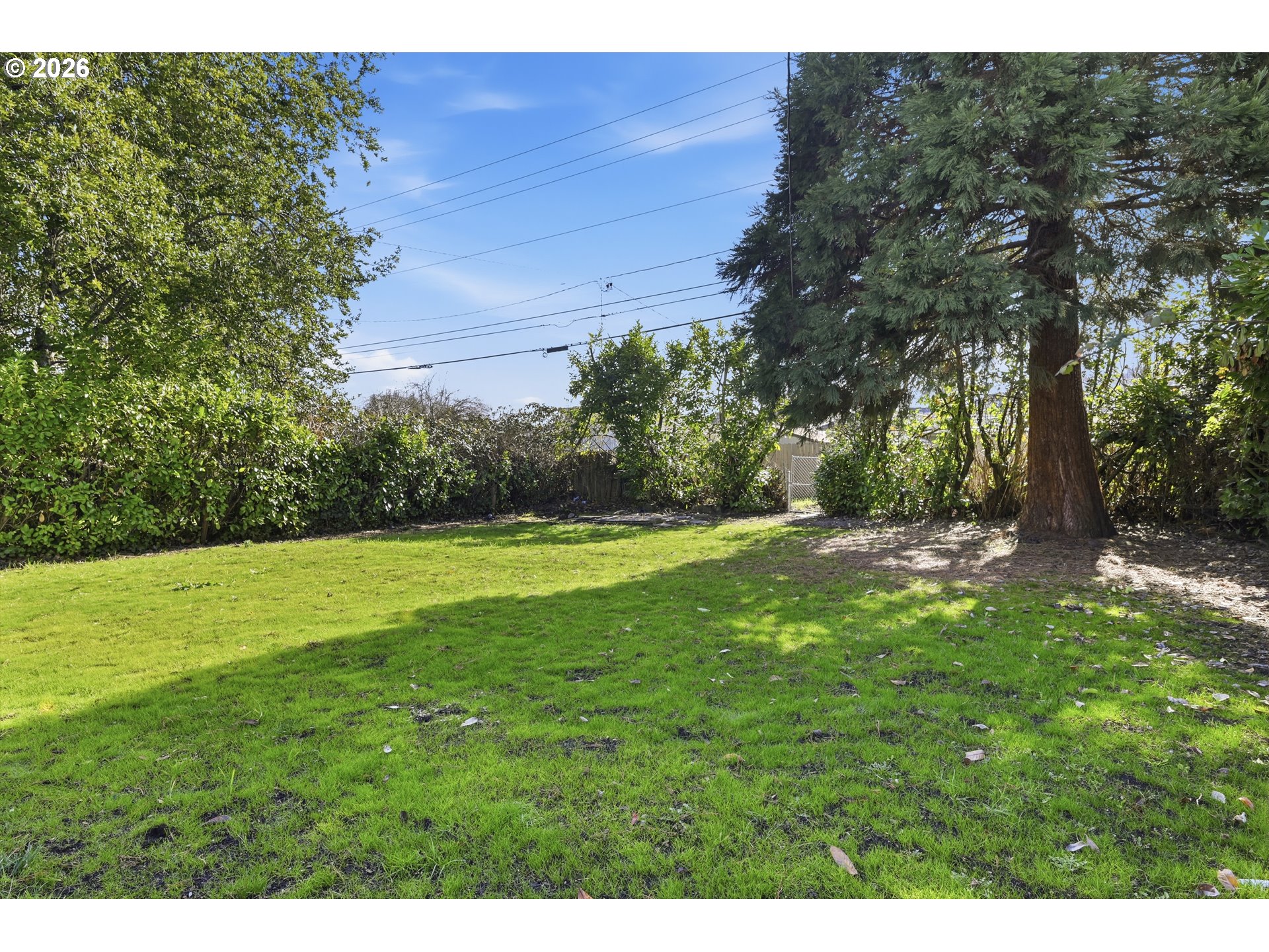 1501 E Street Springfield, OR 97477 - Photo 30 of 36