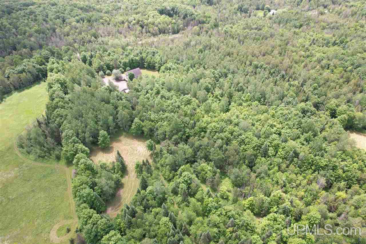 E4084 Paulsen Road Chatham, MI 49816 - Photo 69 of 78 Gallery Image 69