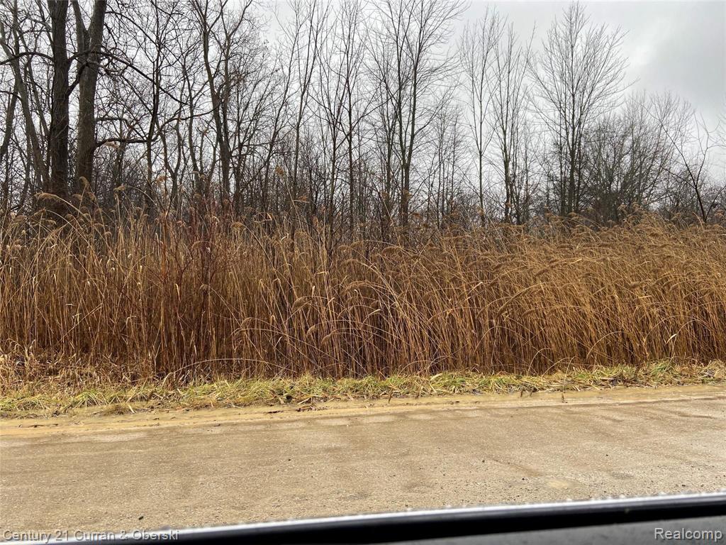 0 Hanford Road Canton, MI 48187 - Photo 3 of 3