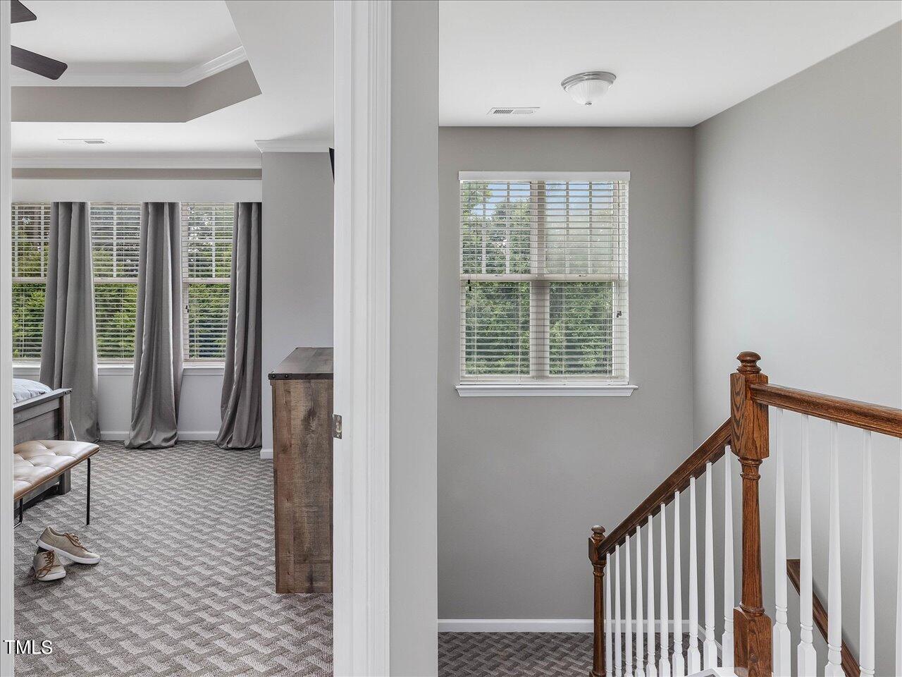 4607 Springerly Lane Raleigh, NC 27612 - Photo 40 of 68 40-Steps to Upper Level