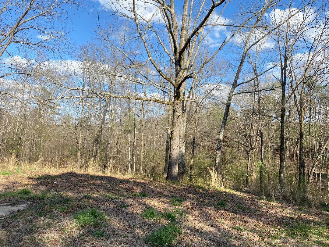 52 Lish Dickerson Road Jasper, AL 35503 - Photo 17 of 18 Gallery Image 17